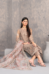 Dilkash Embroidered Fancy Organza Vol-01 D-4271